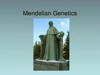 mendelian genetics