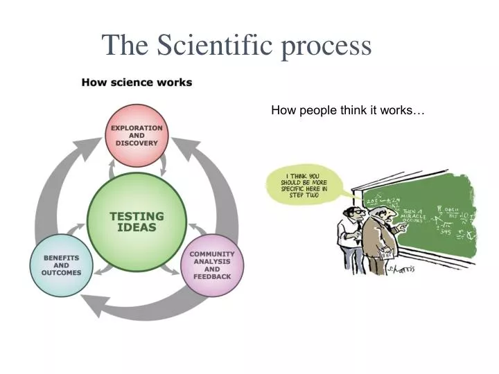 the scientific process