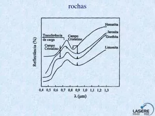 rochas