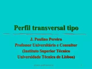 perfil transversal tipo