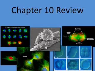 Chapter 10 Review