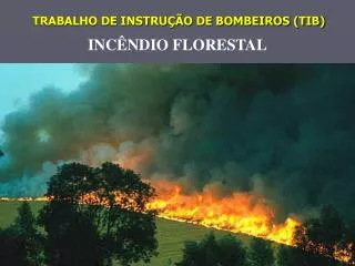 trabalho de instru o de bombeiros tib