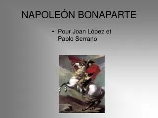 napole n bonaparte