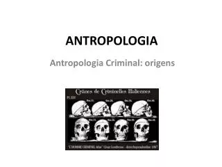 antropologia