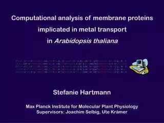 Computational analysis of membrane proteins implicated in metal transport in Arabidopsis thaliana