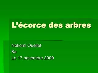 l corce des arbres