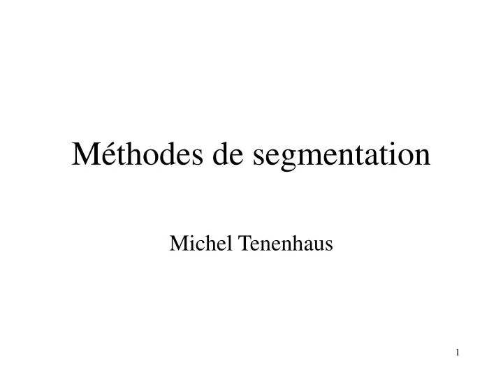 michel tenenhaus