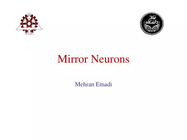 mirror neurons