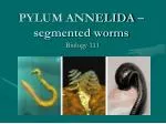PYLUM ANNELIDA – segmented worms - slide 1