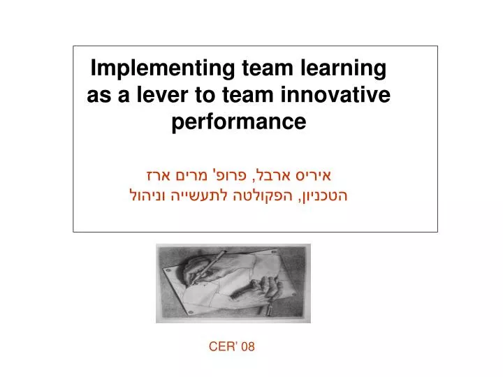 implementing team learning as a lever to team innovative performance