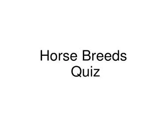 Horse Breeds Quiz