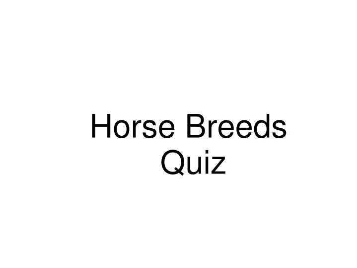 horse breeds quiz