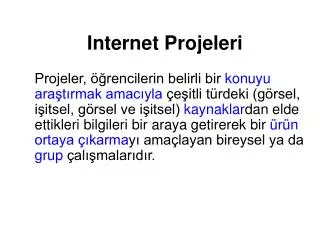 internet projeleri