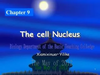 The cell Nucleus