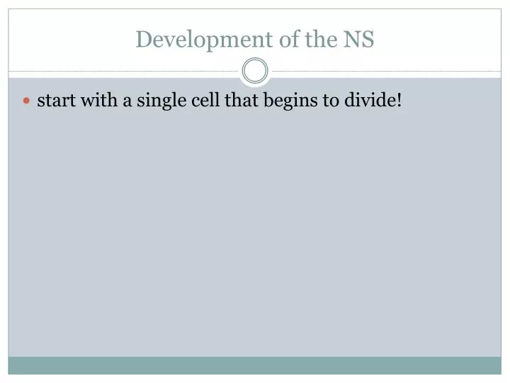 development of the ns