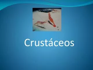 crust ceos