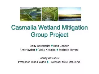 Casmalia Wetland Mitigation Group Project