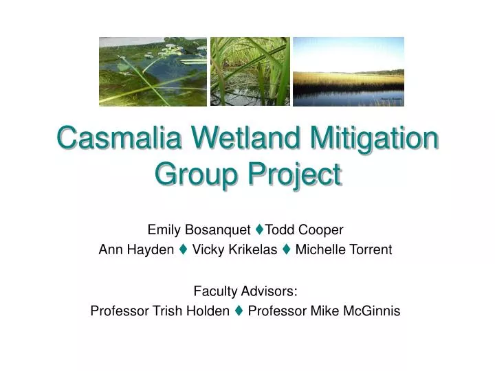casmalia wetland mitigation group project