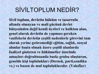 s v ltoplum ned r