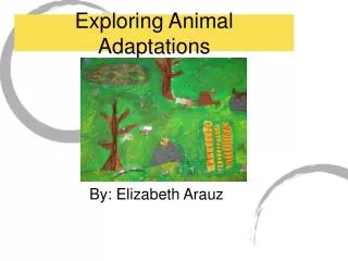 Exploring Animal Adaptations
