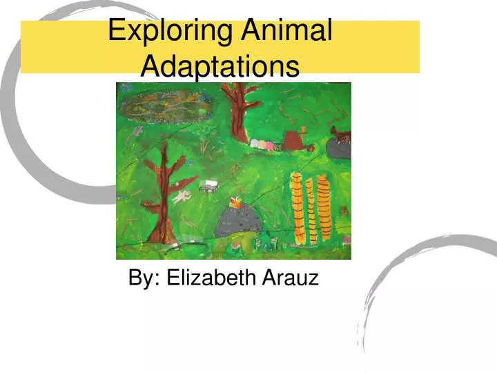 exploring animal adaptations