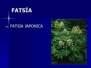 fats a