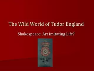 The Wild World of Tudor England