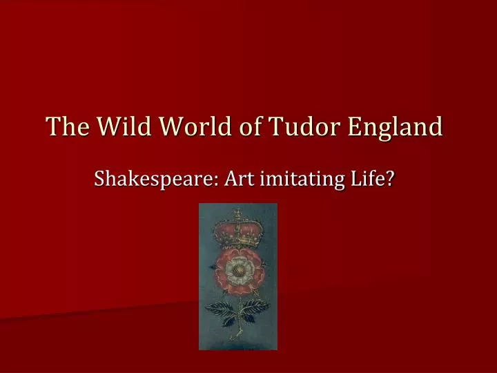 the wild world of tudor england