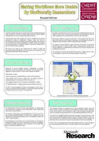 Making Workflows More Usable By Biodiversity Researchers