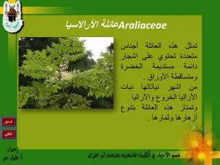araliaceae