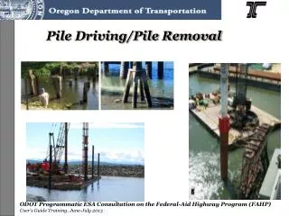 Pile Driving/Pile Removal