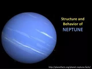Structure and Behavior of NEPTUNE