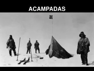 acampadas
