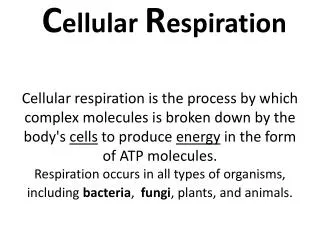 What Is ATP?