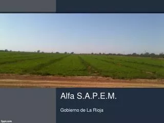 alfa s a p e m