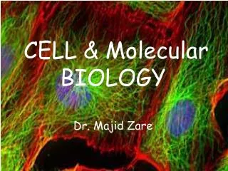 CELL &amp; Molecular BIOLOGY Dr. Majid Zare