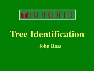 Tree Identification 				John Ross