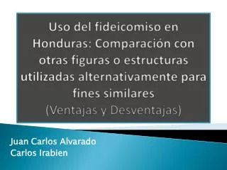 juan carlos alvarado carlos irabien