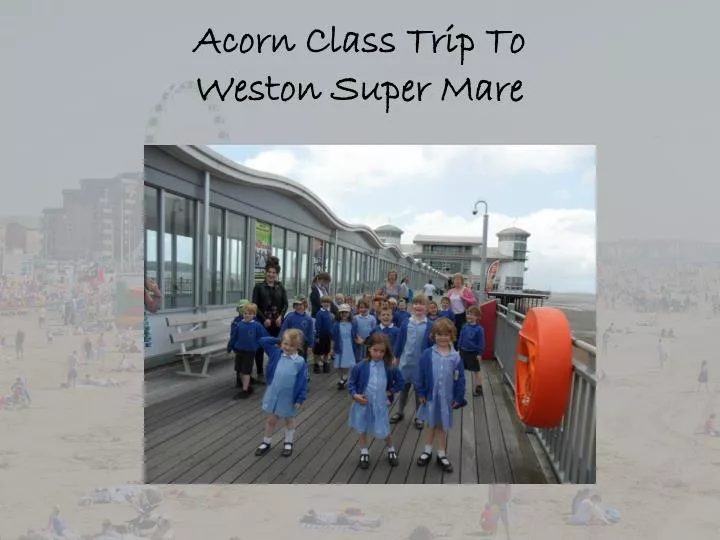 acorn class trip to weston super mare