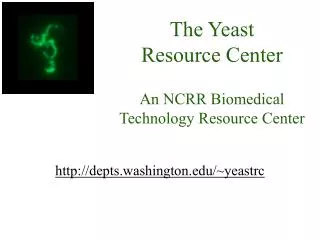 The Yeast Resource Center