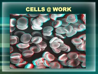 CELLS @ WORK