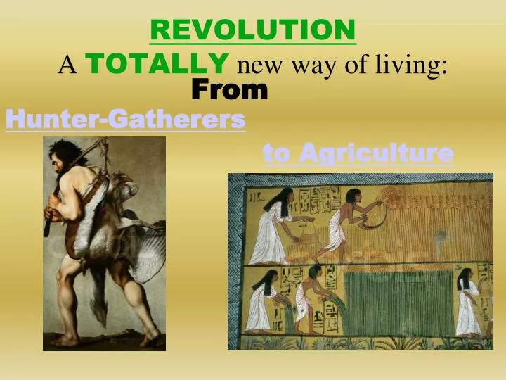 revolution a totally new way of living