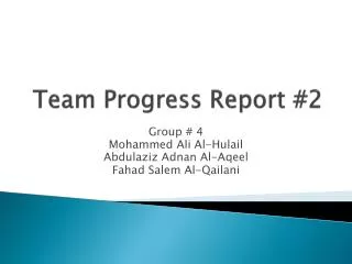 Team Progress Report #2