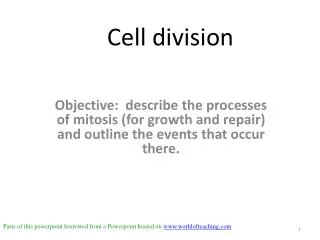 Cell division