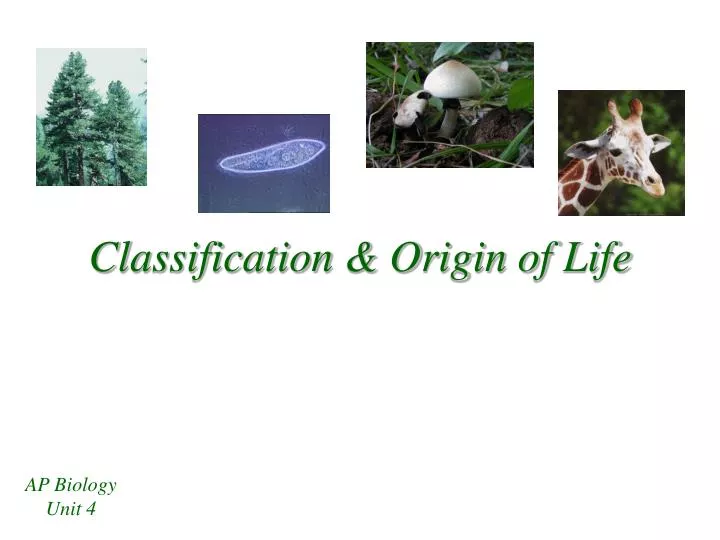 classification origin of life