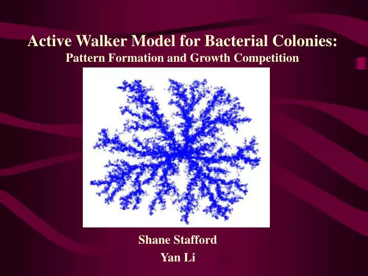 active walker model for bacterial colonies pattern formation and growth competition