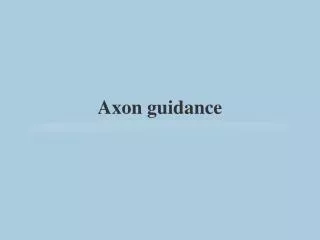 Axon guidance