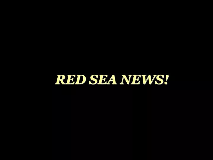 red sea news