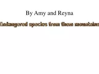 by amy and reyna