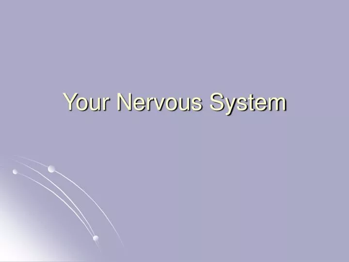your nervous system